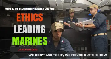Law, Ethics, and Leadership: Guiding Principles for Marines' Integrity