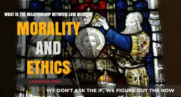 Law, Religion, Morality, Ethics: Exploring Their Complex Interconnections