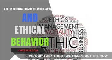 Law, Values, and Ethics: Understanding Their Interconnected Role in Society