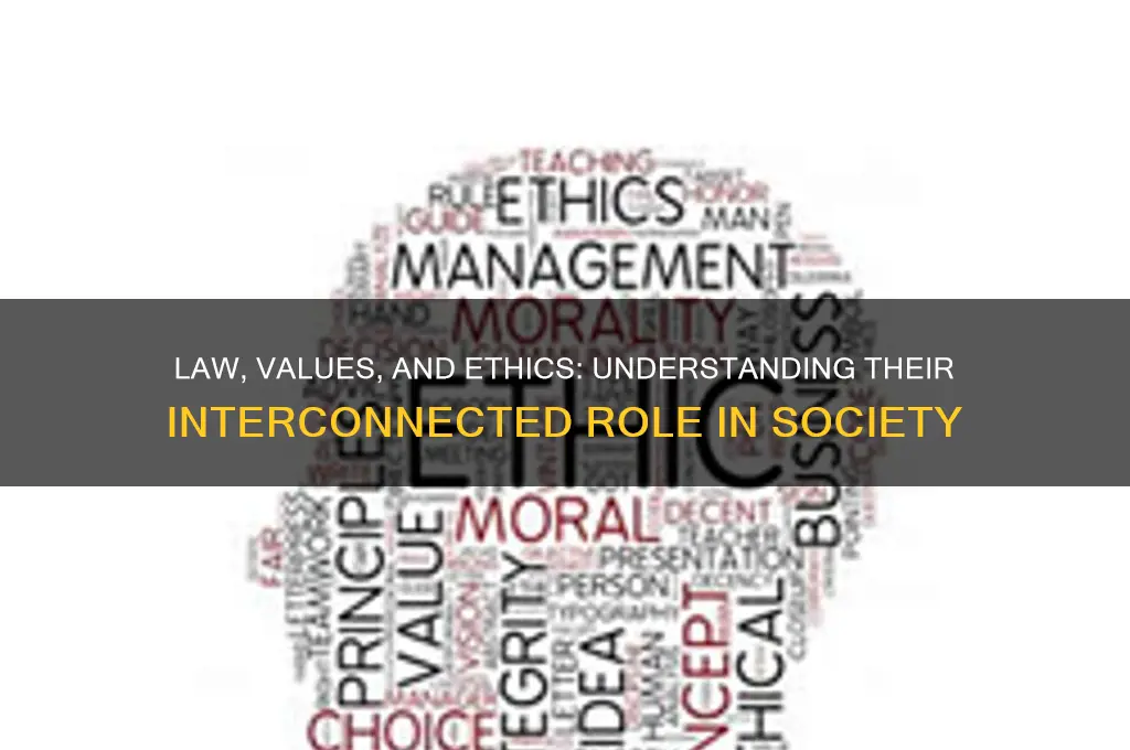 what is the relationship between law values and ethical behavior
