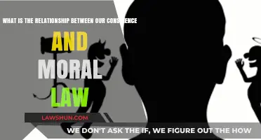 Conscience vs. Moral Law: Exploring the Intricate Ethical Connection