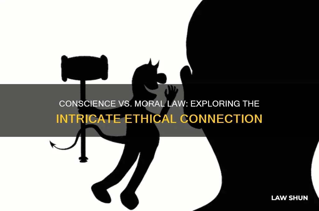what is the relationship between our conscience and moral law