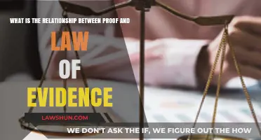 Proof vs. Evidence: Understanding Their Legal Relationship in Court