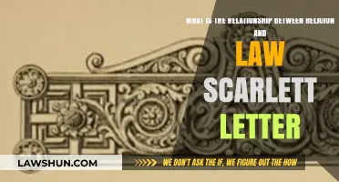 Religion, Law, and Morality: Exploring The Scarlet Letter's Complex Dynamics