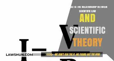 Understanding the Link Between Scientific Laws and Theories