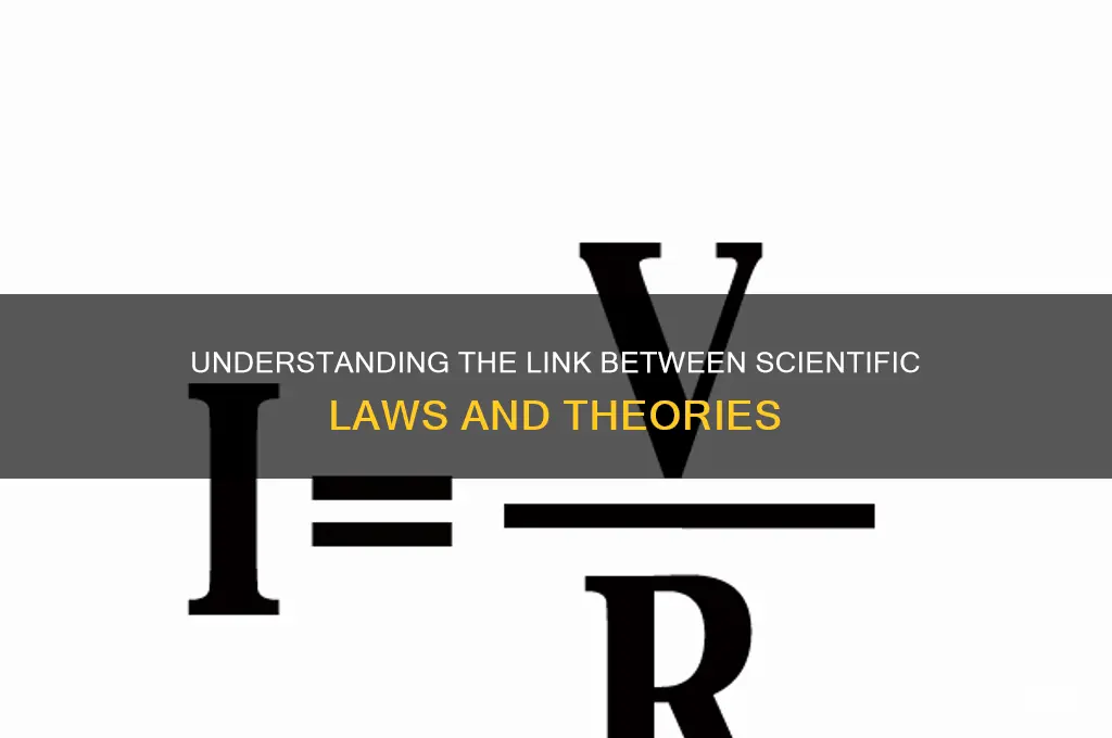 what is the relationship between scientific law and scientific theory