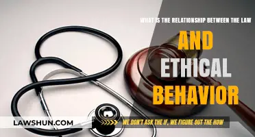 Law vs. Ethics: Navigating the Complex Relationship Between Right and Legal