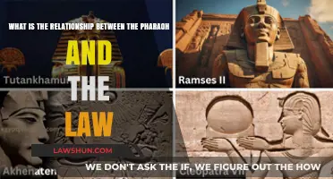 Pharaoh's Authority: Unraveling Ancient Egypt's Legal Power Dynamics