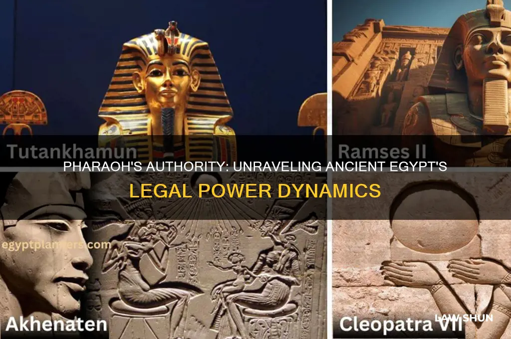 what is the relationship between the pharaoh and the law