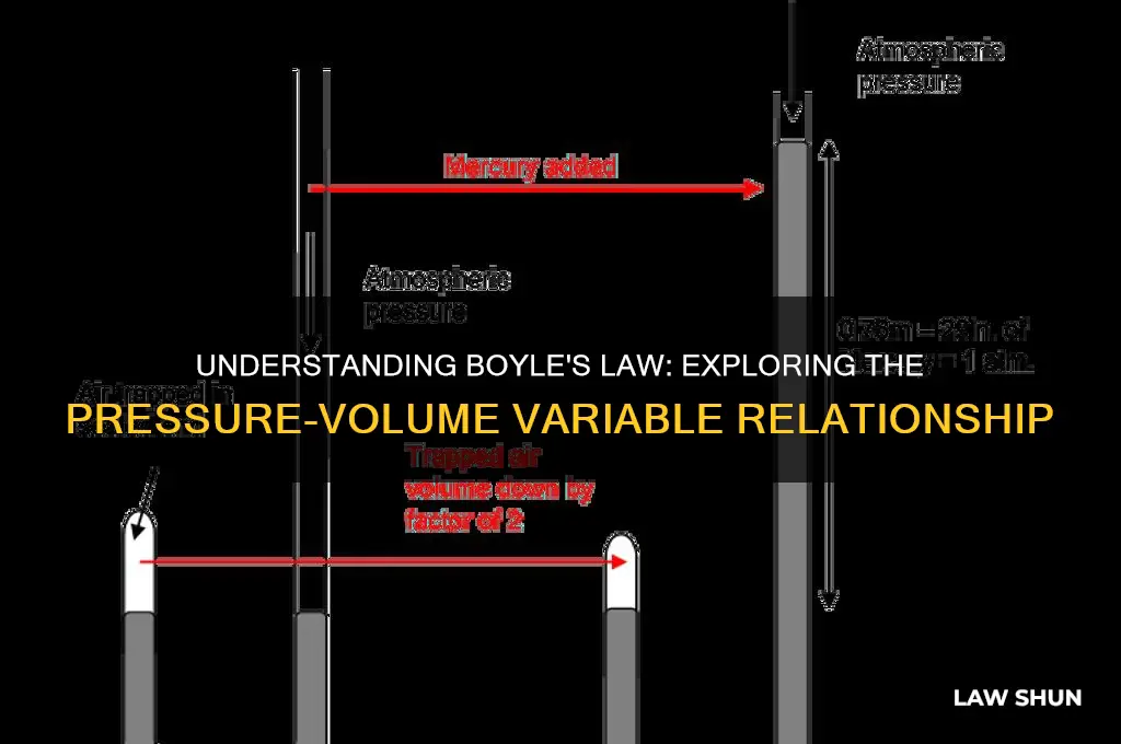 what is the relationship between the variables in boyle