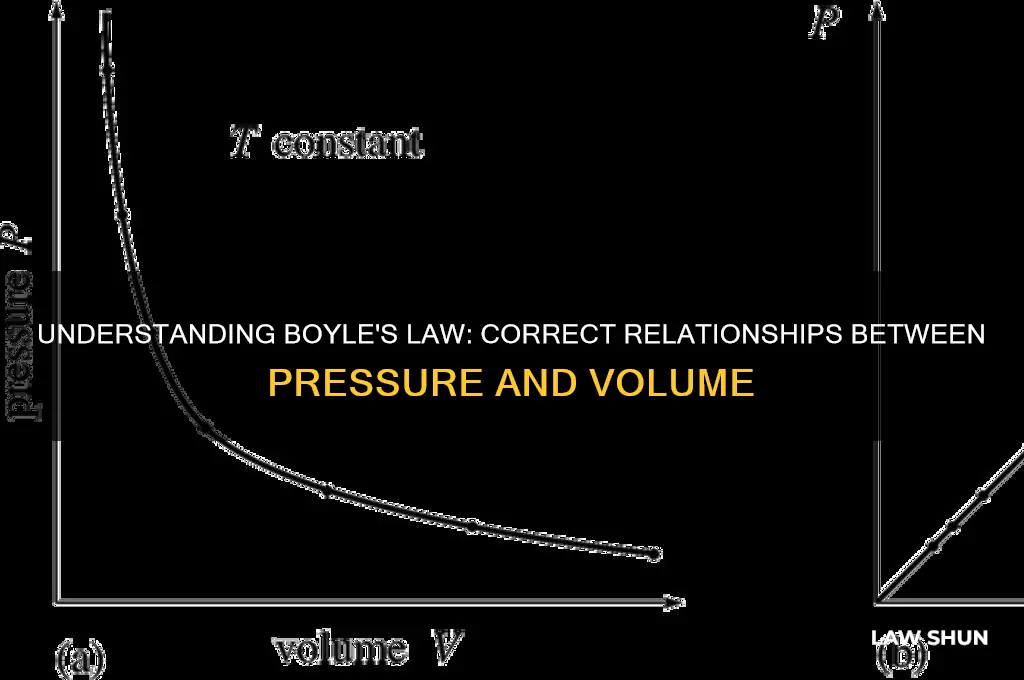 what is the relationships are correct according to boyle