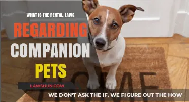 Understanding Companion Pet Rental Laws: Rights and Responsibilities for Tenants