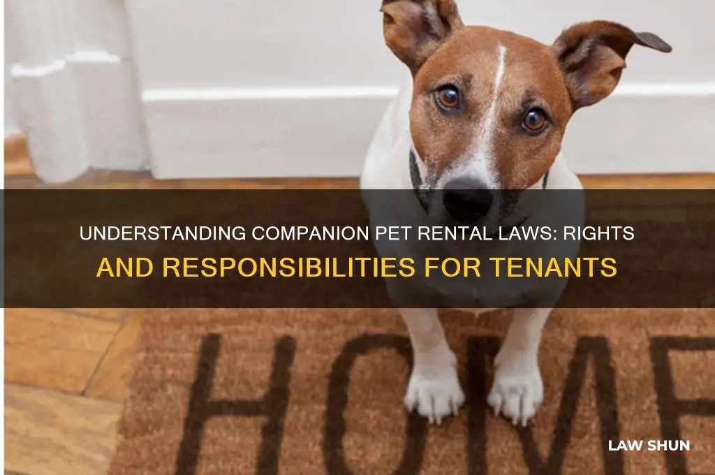 what is the rental laws regarding companion pets