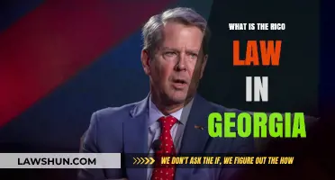 Understanding Georgia's RICO Law: Key Provisions and Implications Explained