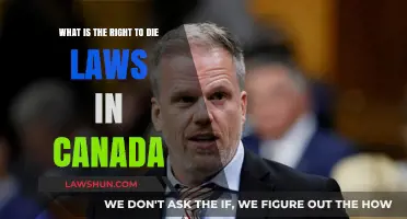 Canada's Right to Die: Understanding the Law