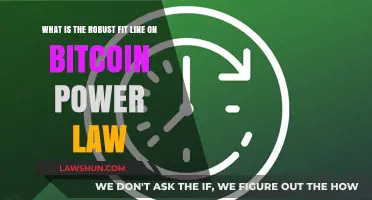 Understanding Bitcoin's Power Law: The Robust Fit Line Explained
