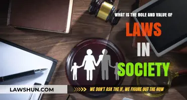 Understanding Laws: Their Role and Value in Shaping Society