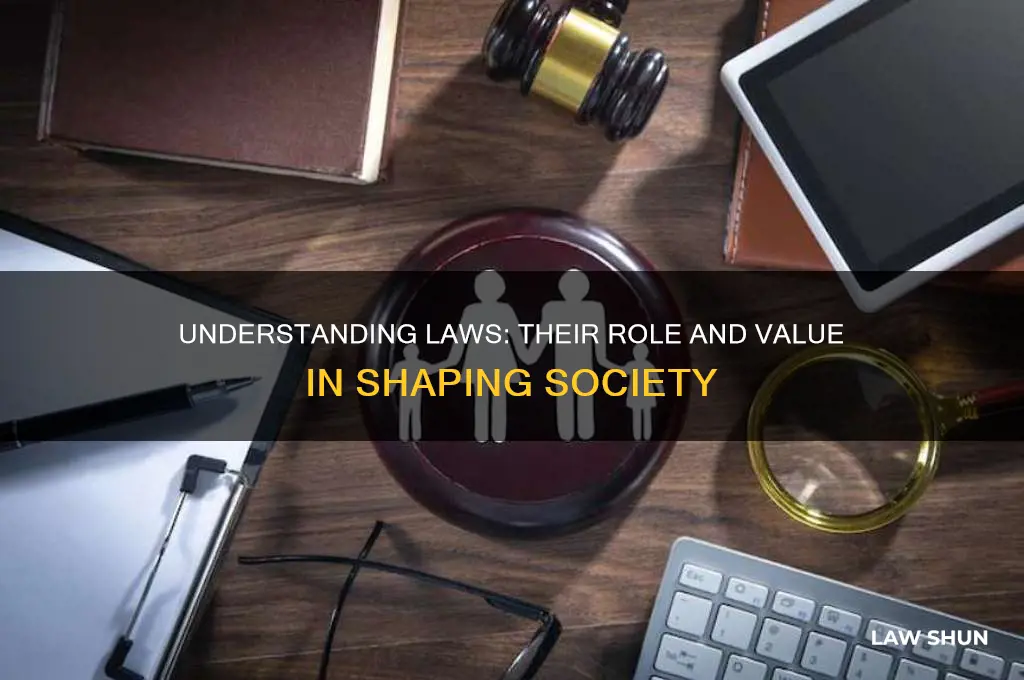 what is the role and value of laws in society