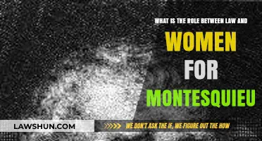 Montesquieu's Perspective: Law's Impact on Women's Role in Society