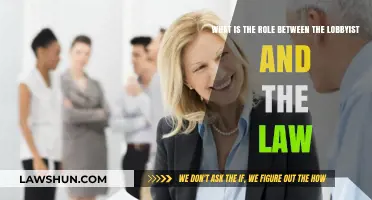 Lobbyists and the Law: Understanding Their Complex Relationship