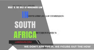 Indigenous Law's Role in Shaping South Africa's Legal Landscape