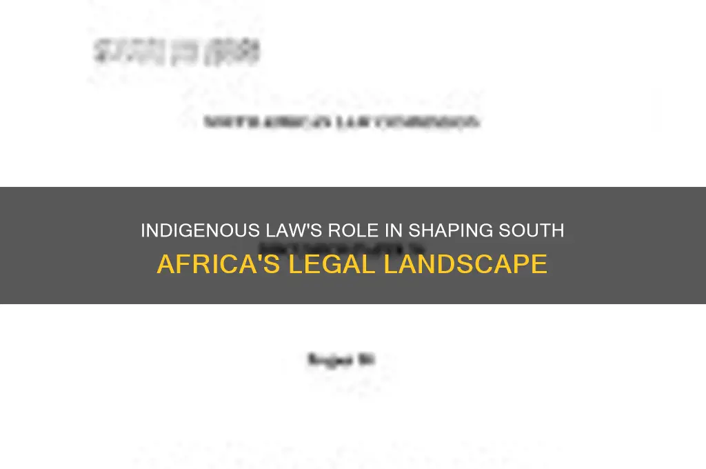 what is the role of indigenous law in south africa