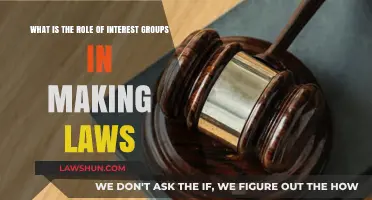 Interest Groups' Influence: Shaping Legislation and Policy-Making Processes