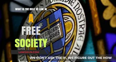 Upholding Freedom: The Essential Role of Law in Society