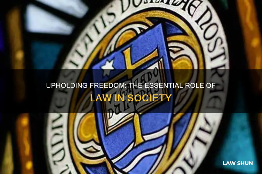 what is the role of law in a free society
