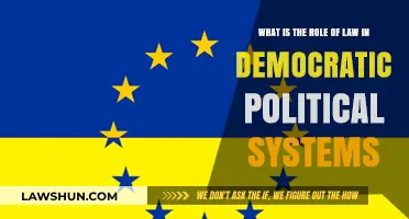 The Role of Law in Shaping Democratic Political Systems