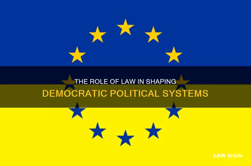what is the role of law in democratic political systems