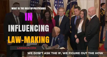 Politicians' Pivotal Role in Shaping Legislation and Policy Creation