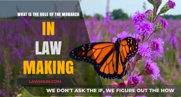The Monarch's Role in Law Making: Power and Process Explained