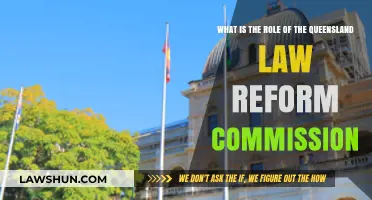 Understanding the Queensland Law Reform Commission's Role in Legal Evolution