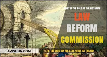 Understanding the Victorian Law Reform Commission's Role in Modern Law