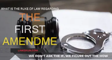 Understanding the First Amendment: Rule of Law