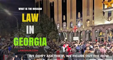 Understanding Russian Law's Influence and Application in Georgia Today