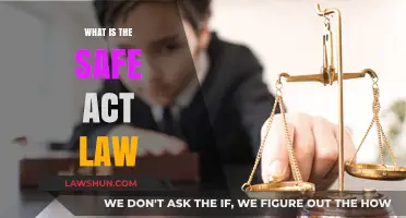 Understanding the SAFE Act Law: Purpose, Impact, and Compliance