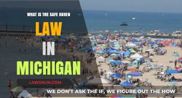 Understanding Michigan's Safe Haven Law: Protecting Infants and Parents