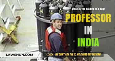 Law Professor Salary Insights in India