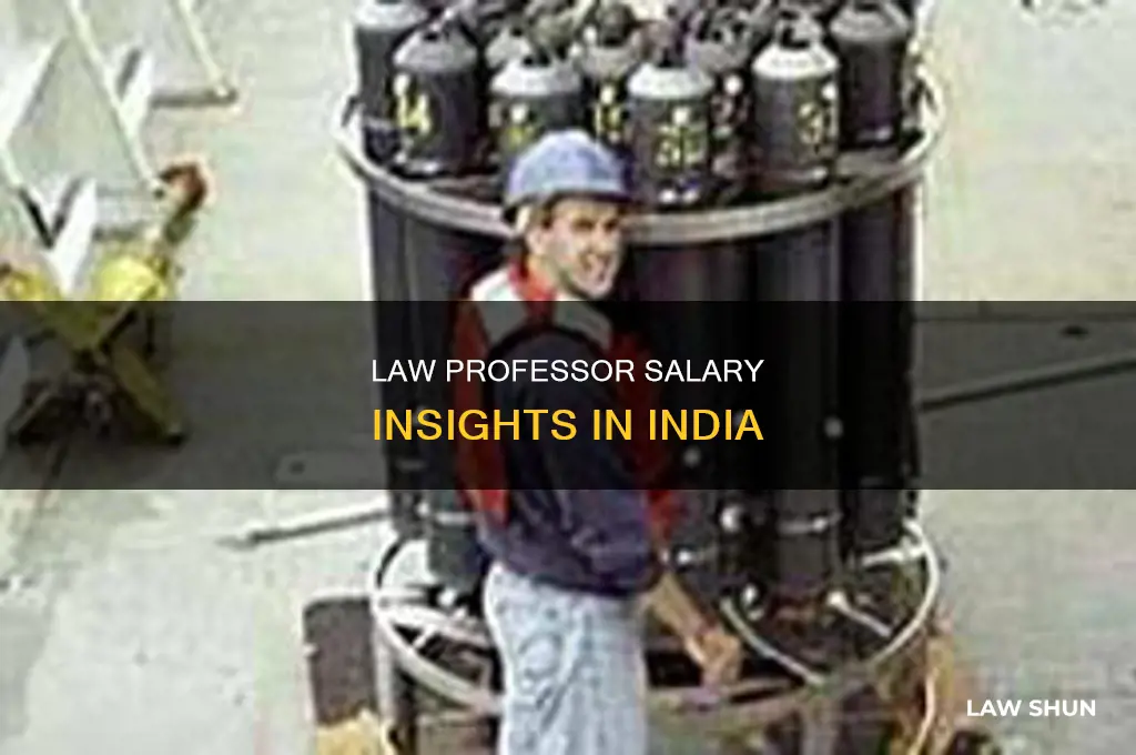 what is the salary of a law professor in india
