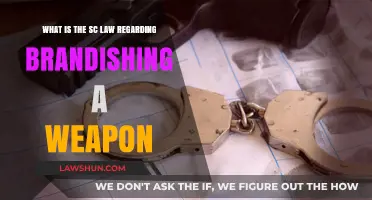 SC Weapon Brandishing Laws: Understanding Legal Consequences and Penalties