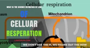 Understanding the Science Definition of the Law of Cellular Respiration