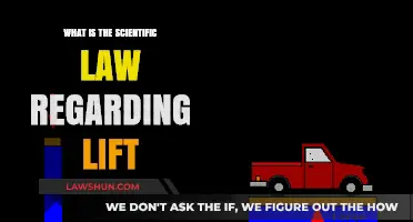 Understanding Lift: The Scientific Principles Behind Flight Explained