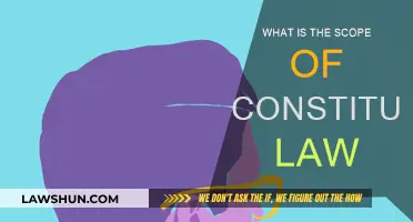 Constitutional Law: Exploring Its Scope and Reach