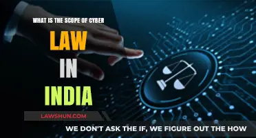 Understanding the Scope of India's Cyber Law