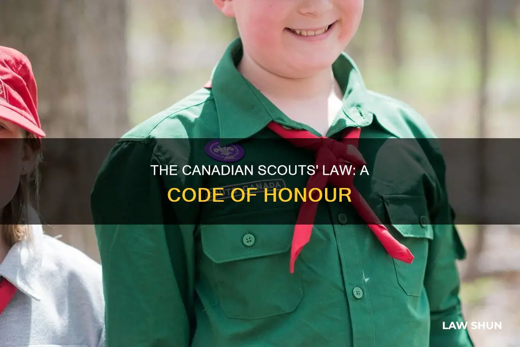 what is the scout law in canada