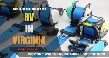 Virginia RV Seat Belt Laws: What You Need to Know