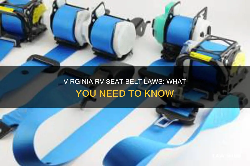 what is the seat belt law for rv in virginia