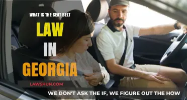 Understanding Georgia's Seat Belt Law: Requirements and Penalties Explained
